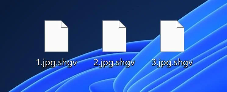  Image: SHGV files encrypted