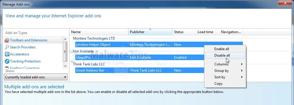 [Image: Privitize VPN Internet Explorer extensions ]