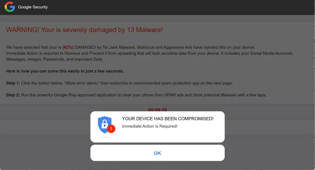 dev-defense.com scam