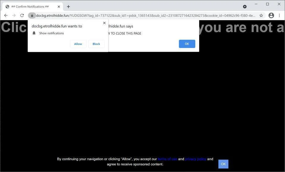 Image: Chrome browser is redirected to Etrolhidde.fun