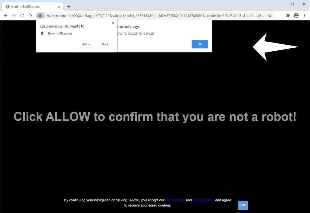 Image: Chrome browser is redirected to Ozsummarun.info