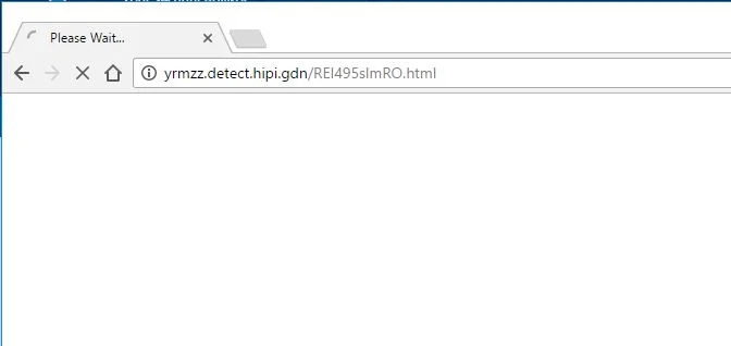 yrmzz.detect.hipi.gdn virus