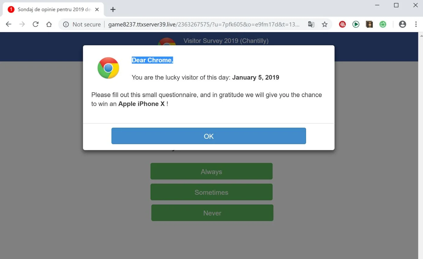 2019 Annual Visitor Survey Scam