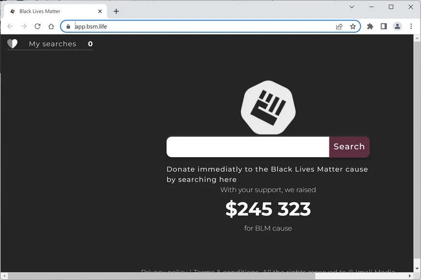BSM - Black Search Matters