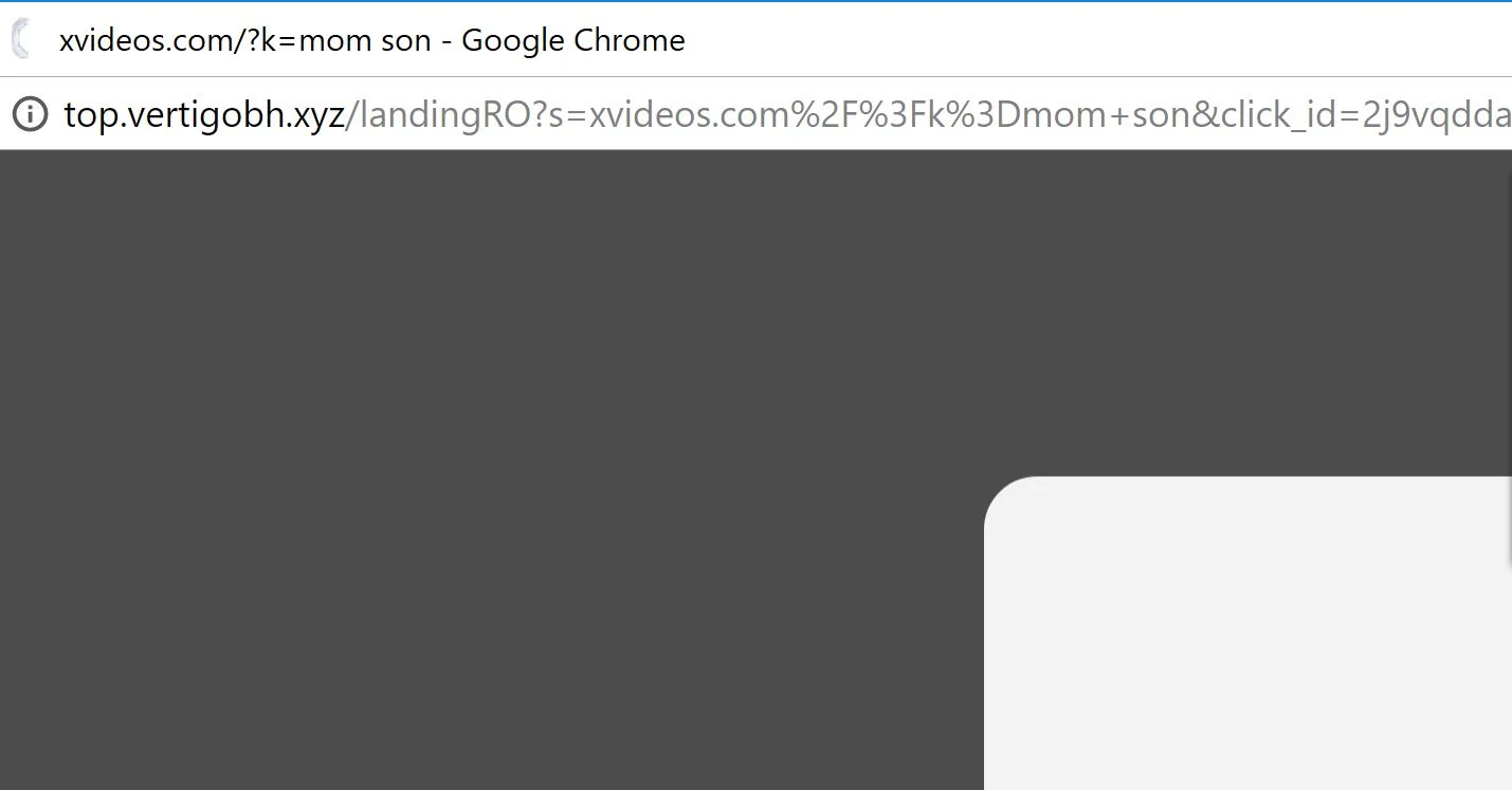 top.vertigobh.xyz virus