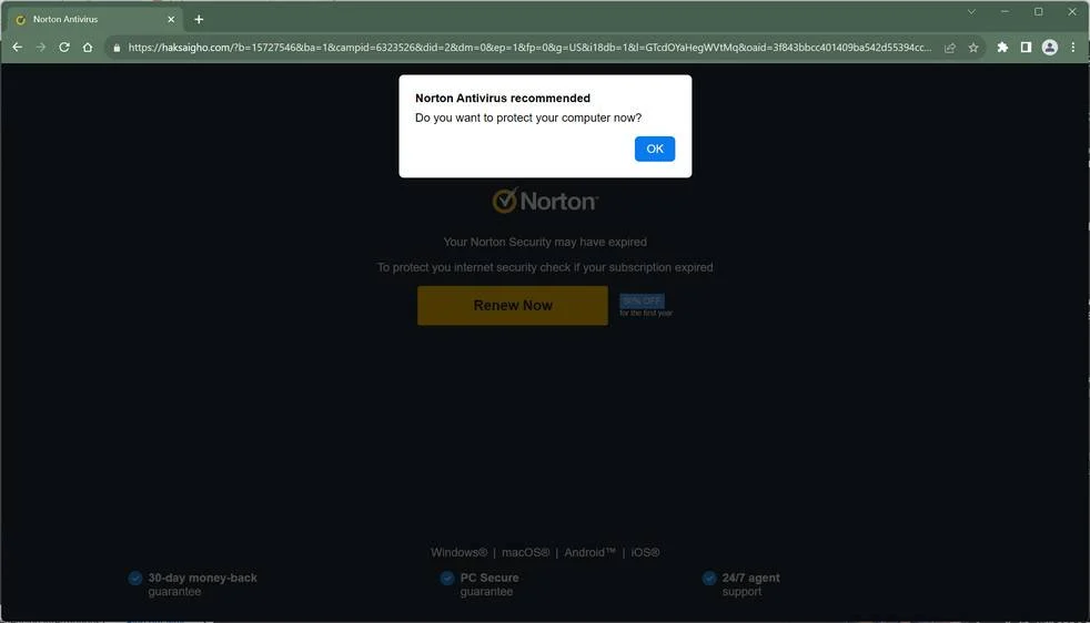 haksaigho.com scam