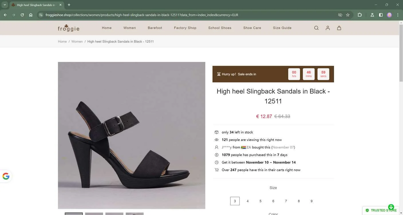 Froggieshoe.shop Scam Store Warning - Don't Shop Therefroggieshoe.shop 1 froggieshoe.shop scam