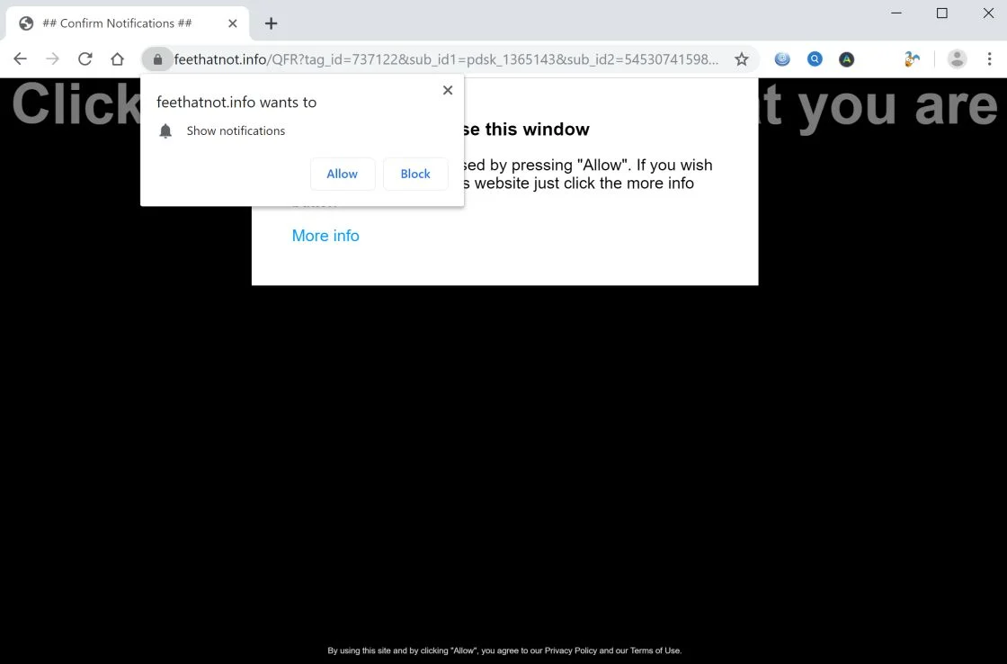 Image: Chrome browser is redirected to Feethatnot.info