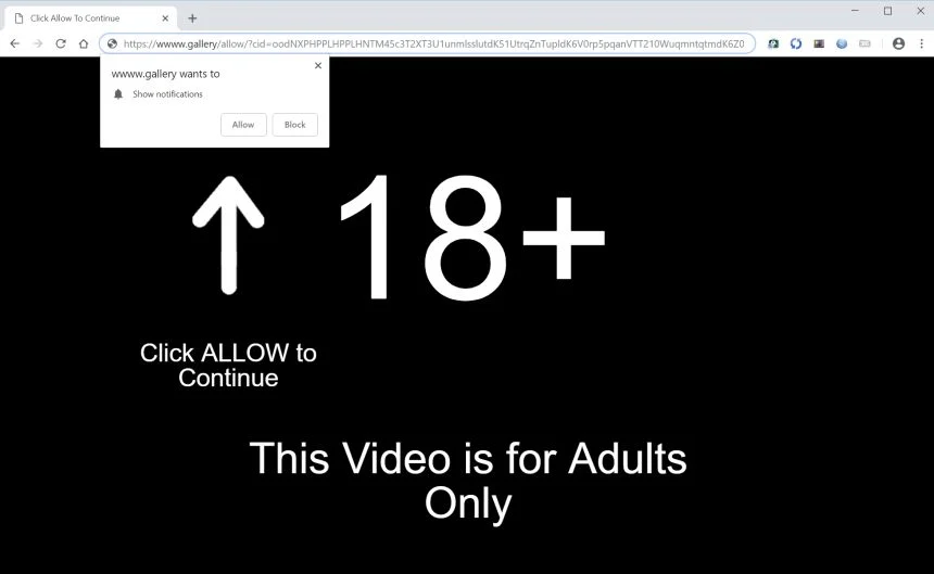 wwww.gallery redirect wwww.gallery redirect virus