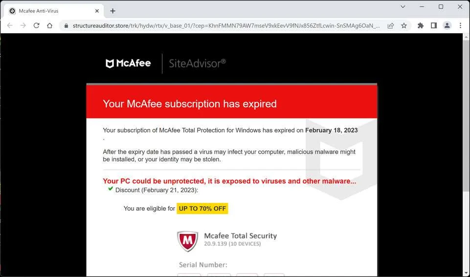 Image: Structureauditor.store Fake Alerts