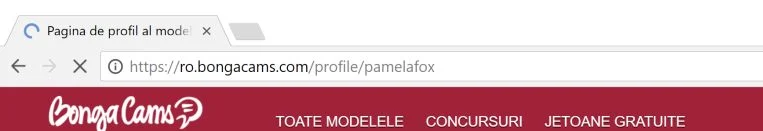 bongacams.com virus