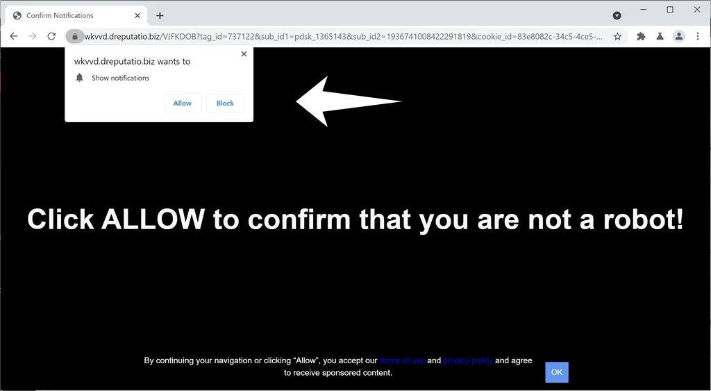 Remove Dreputatio.biz pop-up ads (Virus Removal Guide) 1 Image: Chrome browser is redirected to Dreputatio.biz