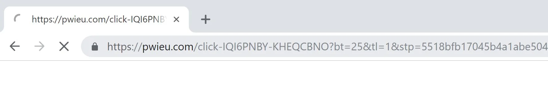 Pwieu.com redirect virus