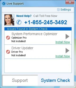 [Image: LiveSupport pop-up virus]