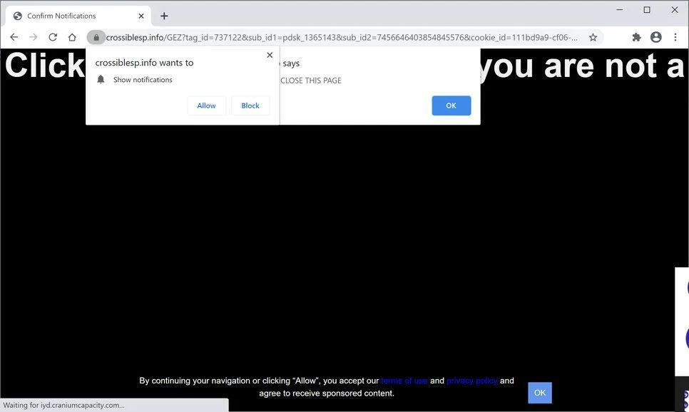 Remove Crossiblesp.info pop-up ads (Virus Removal Guide) 1 Image: Chrome browser is redirected to Crossiblesp.info