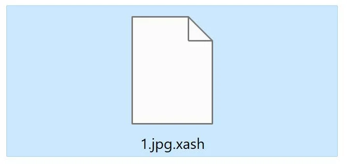Xash Virus
