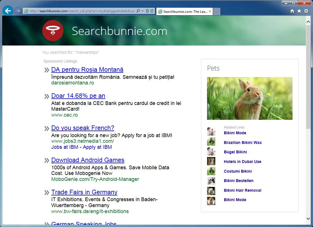 [Image: Searchbunnie.com redirect]