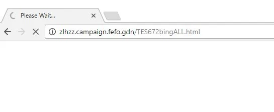 zlhzz.campaign.fefo.gdn virus