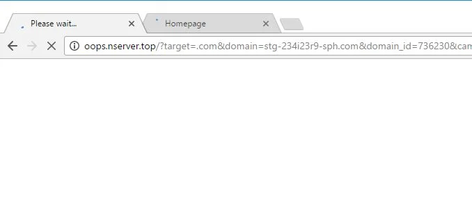 Oops.nserver.top virus