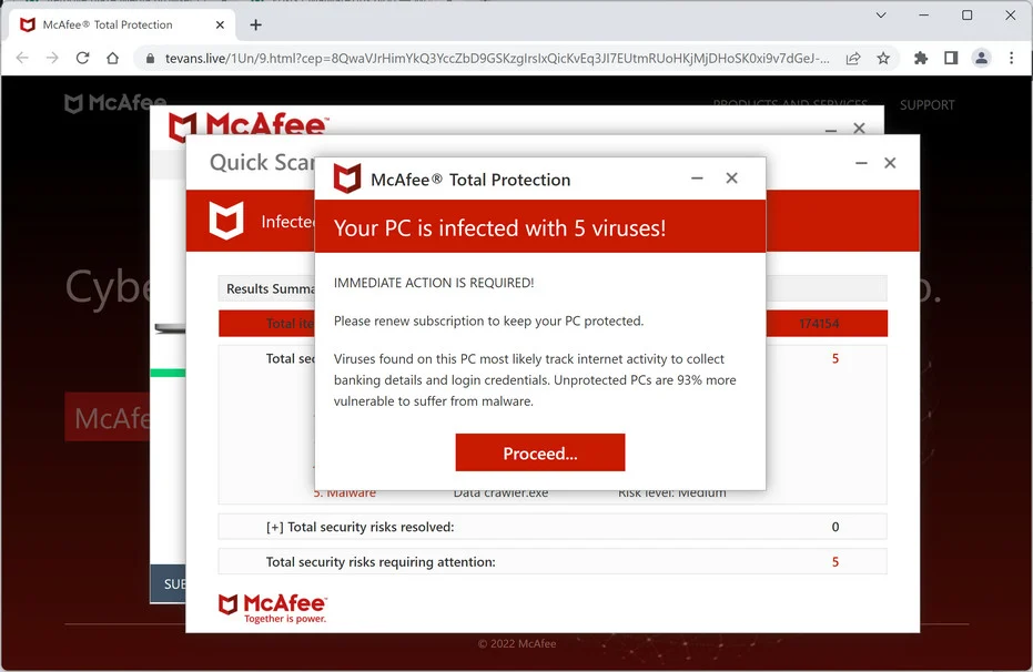 Image: Tevans.live Fake McAfee Virus Alert