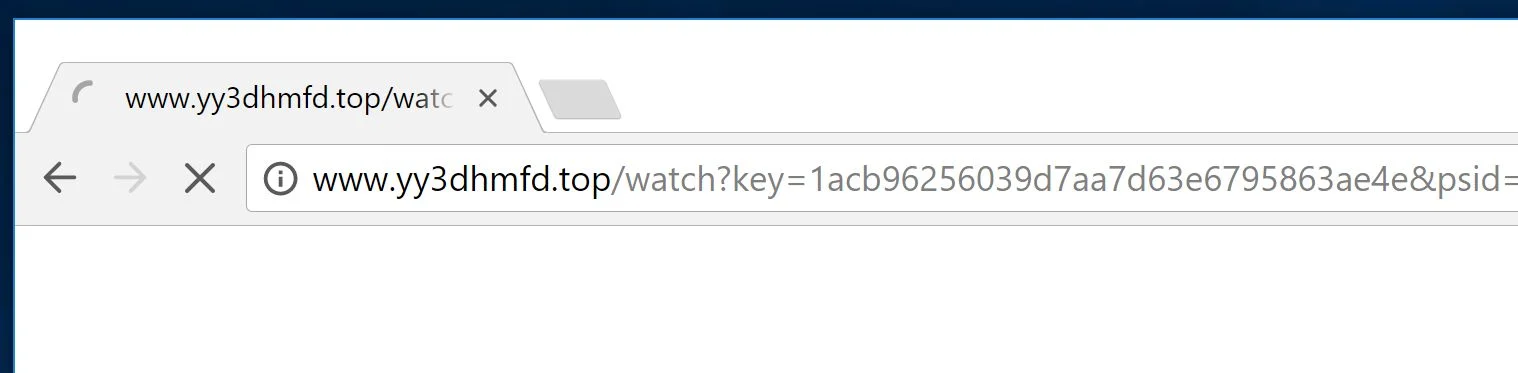 Yy3dhmfd.top Virus