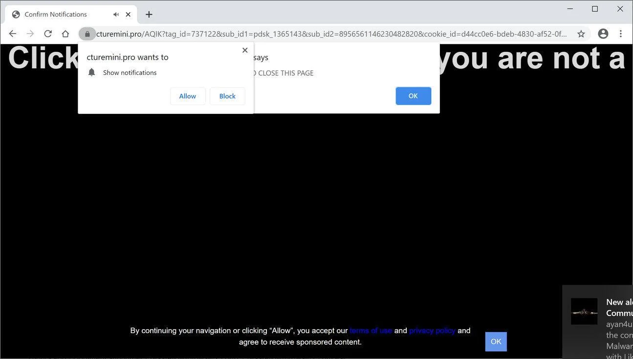 Image: Chrome browser is redirected to Cturemini.pro