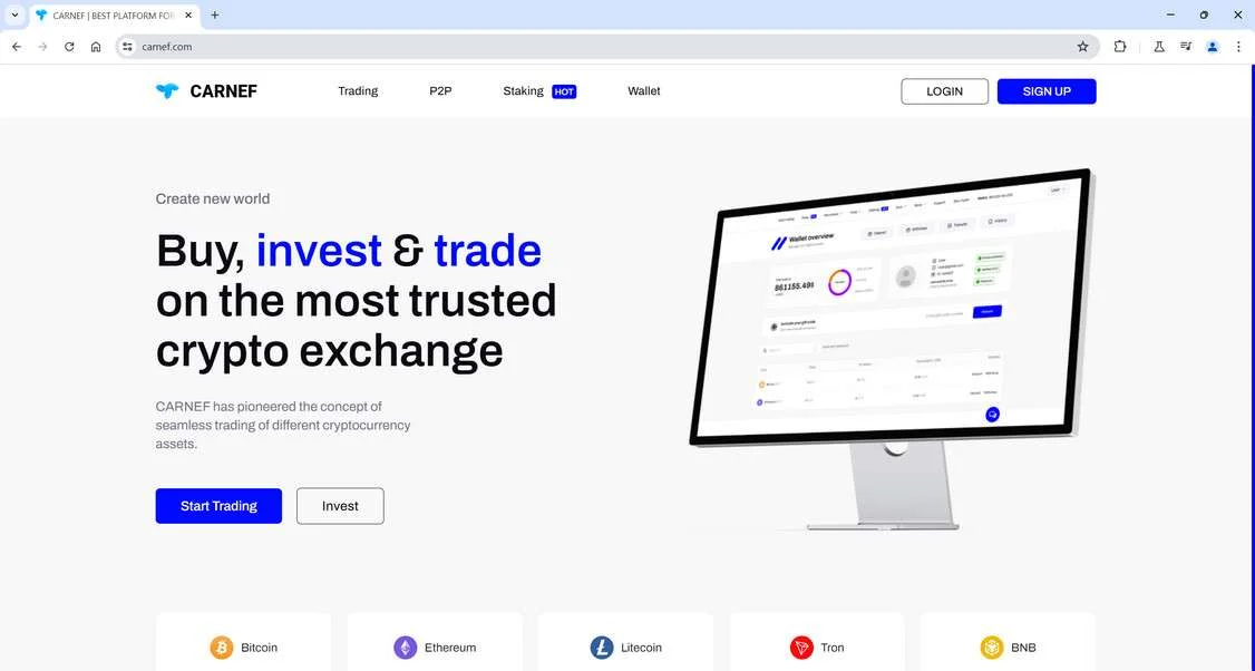 CARNEF Crypto Scam - Our Breakdown of This Crypto Con 1 Carnef scam