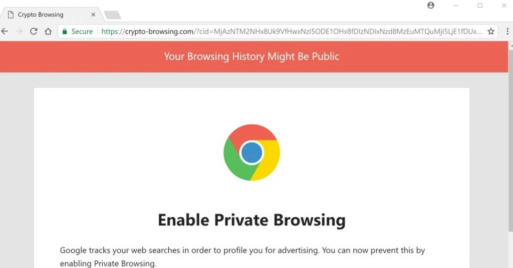 Your Browsing History Might Be Public Fake Alerts Scam