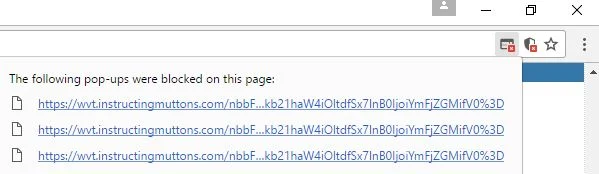 Wvt.instructingmuttons.com virus