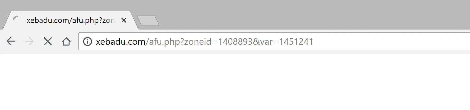 Xebadu.com redirect virus