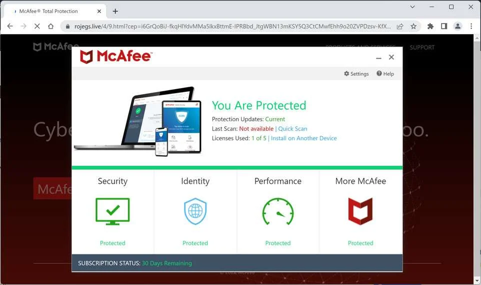 Image: Chrome browser is redirected to Rojegs.live