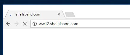 ww12.shellsband.com virus