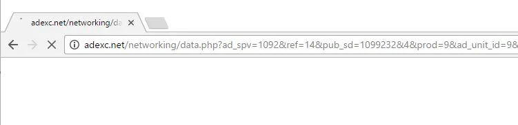 Adexc.net virus