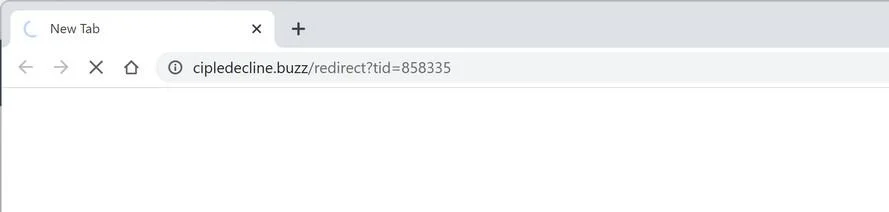 Image: Chrome browser is redirected to Cipledecline.buzz