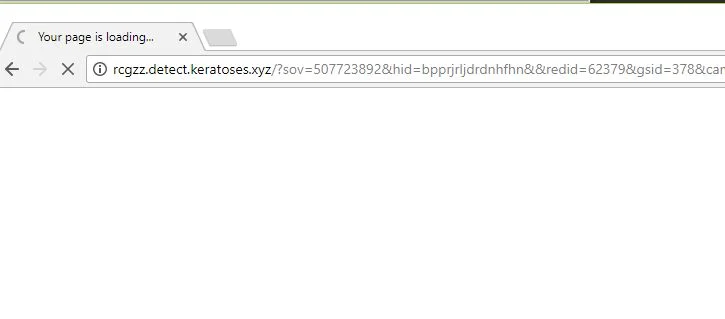 rcgzz.detect.keratoses.xyz virus