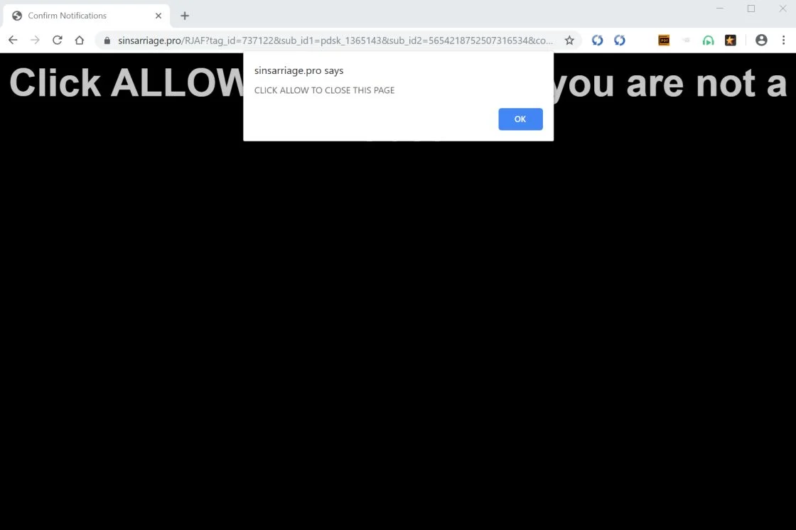 Image: Chrome browser is redirected to Sinsarriage.pro