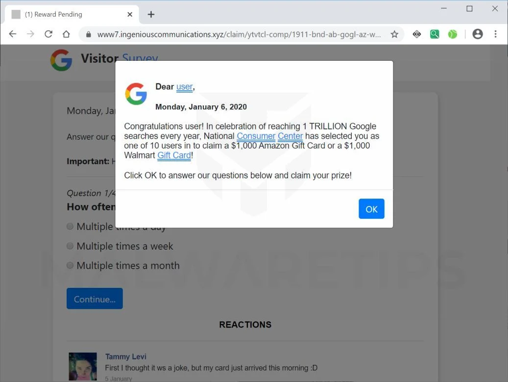 Image: In celebration of reaching 1 TRILLION Google searches - Scam