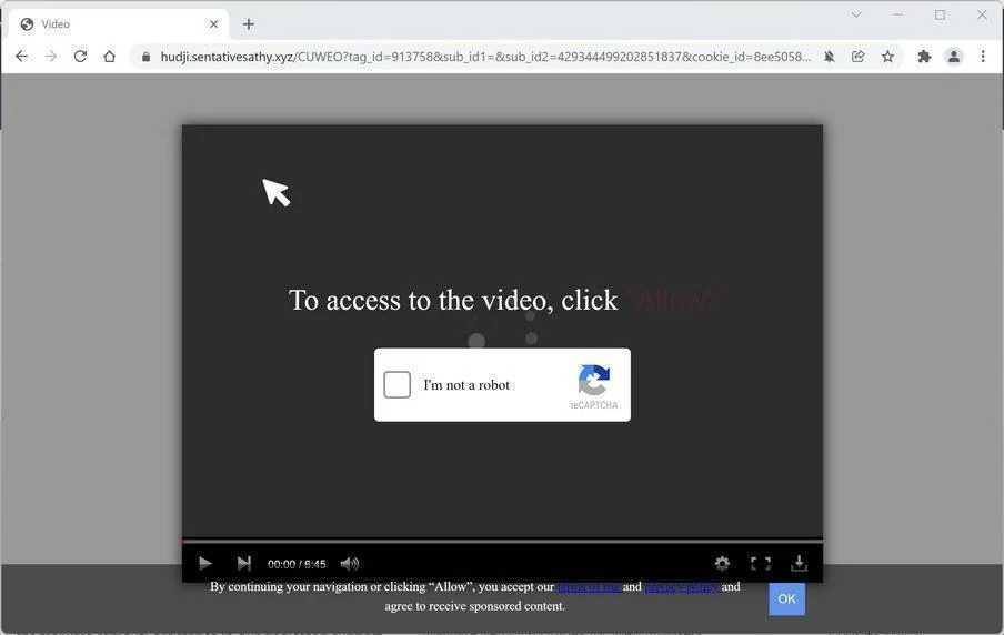 Remove Sentativesathy.xyz Pop-up Ads (Virus Removal Guide) 1 Image: Chrome browser is redirected to Sentativesathy.xyz