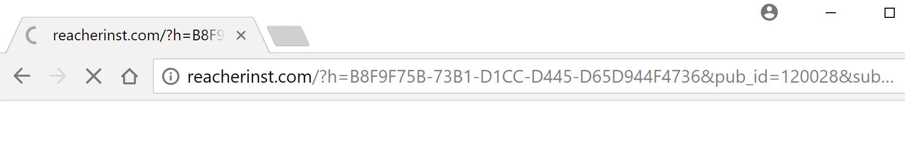 reacherinst.com redirect virus