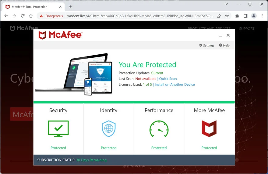 Image: Wodent.live Fake McAfee Virus Alert