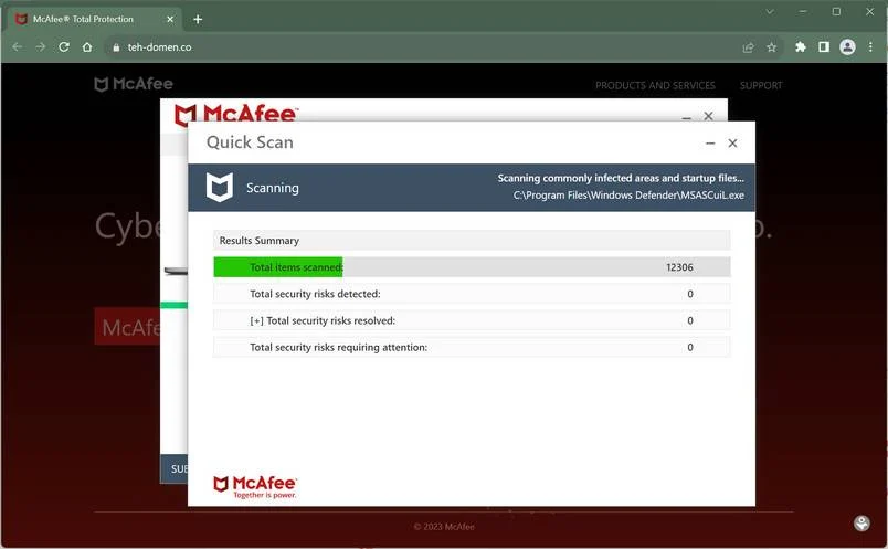teh-domen.co scam