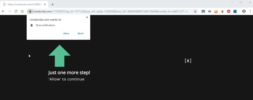 Image: Chrome browser is redirected to the Ronatorda.com site