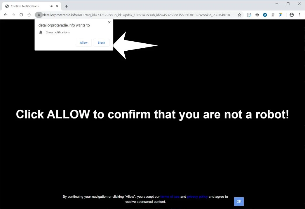 How to remove Detailorproteradie.info pop-up ads (Virus Removal Guide) 1 Image: Chrome browser is redirected to Detailorproteradie.info