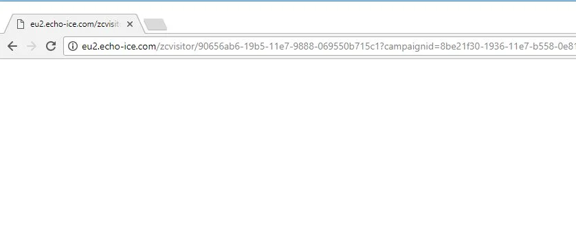 eu2.echo-ice.com virus