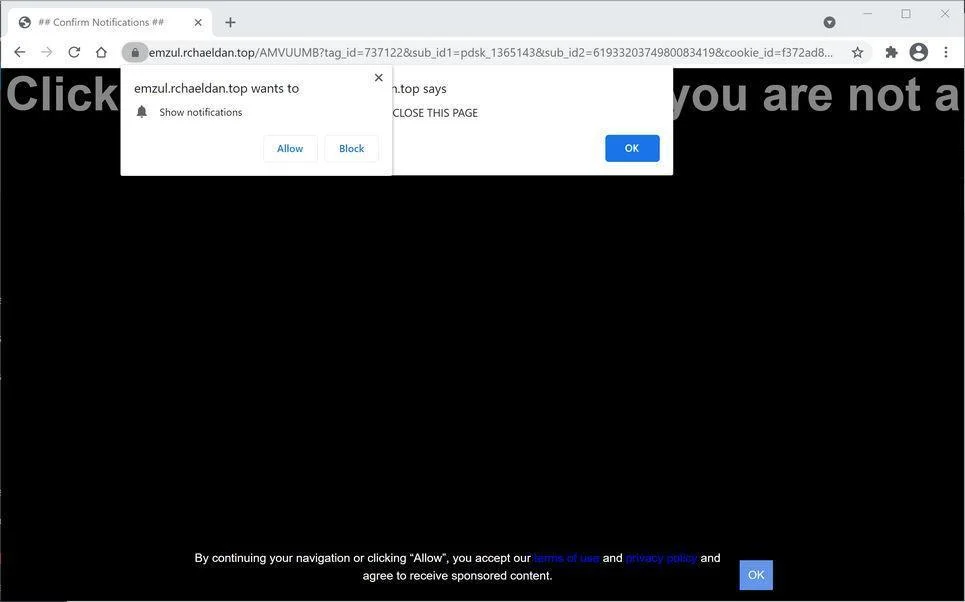 Remove Rchaeldan.top pop-up ads (Virus Removal Guide) 1 Image: Chrome browser is redirected to Rchaeldan.top