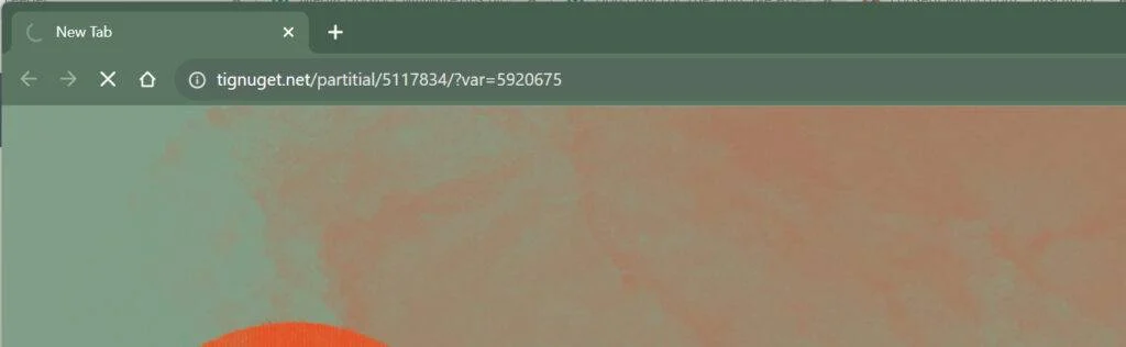 tignuget.net malware