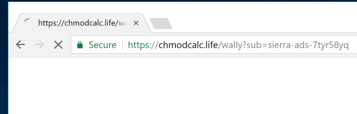 chmodcalc.life virus