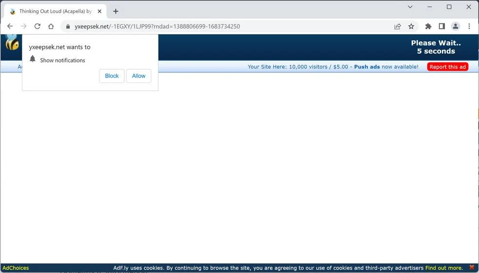 yxeepsek.net ad