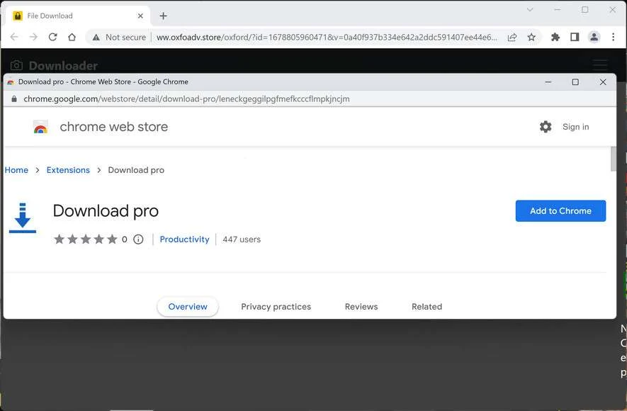 Image: Download Pro Chrome Extension