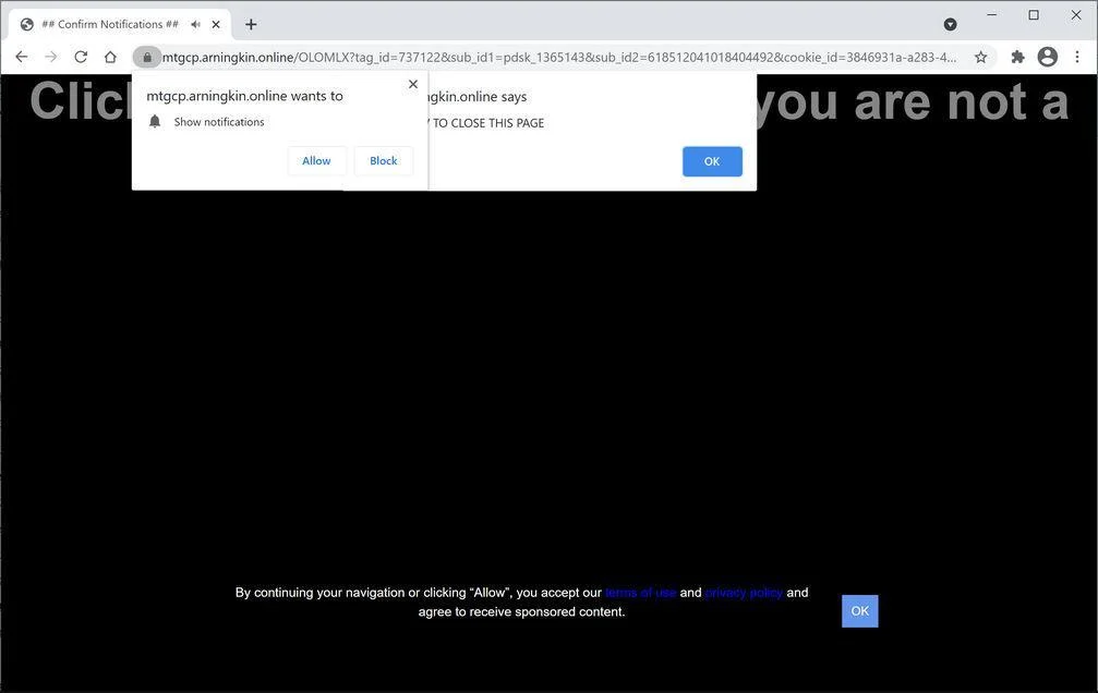 Remove Arningkin.online pop-up ads (Virus Removal Guide) 1 Image: Chrome browser is redirected to Arningkin.online